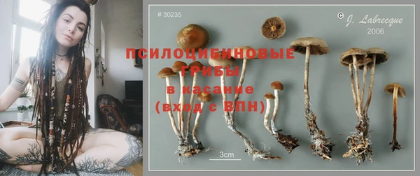 синтетический гашиш Алексеевка