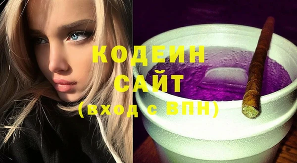 дурь Алексин