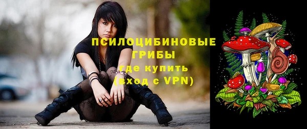 синтетический гашиш Алексеевка
